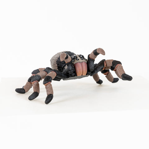 Tarantula