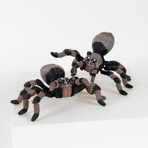 Tarantula