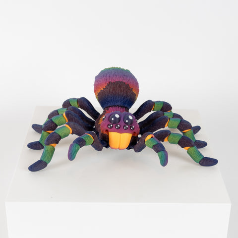 Rainbow Tarantula