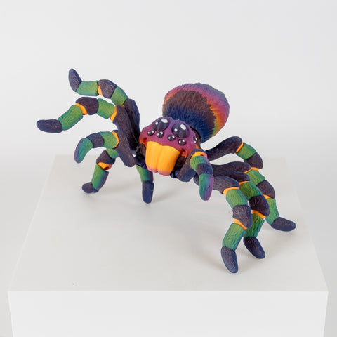 Rainbow Tarantula