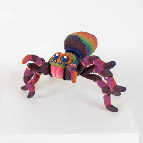 Rainbow Tarantula