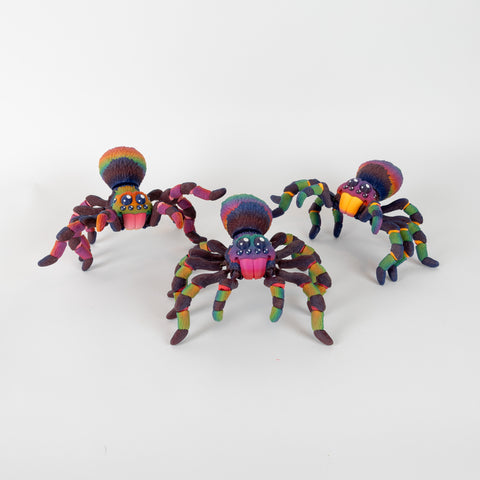 Rainbow Tarantula