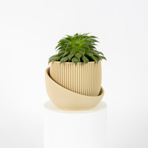 Eero Planter