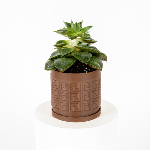 Mini Aztec Planter