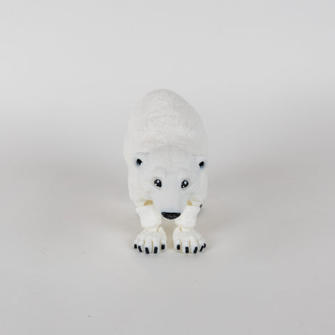 Polar Bear