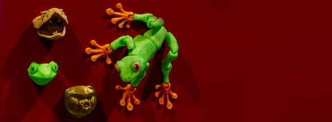 Flexi Tree Frog