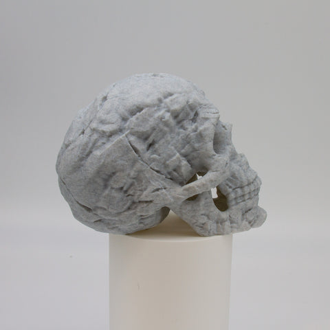 Rock Skull