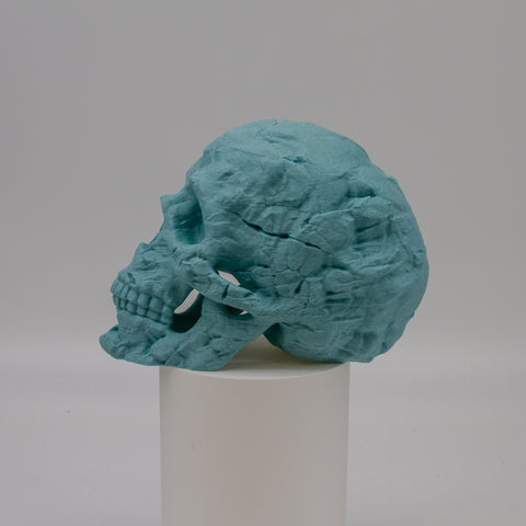 Blue Rock Skull